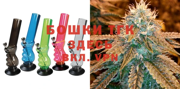 дживик Осинники