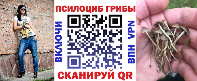 Псилоцибиновые грибы Cubensis  Курган 