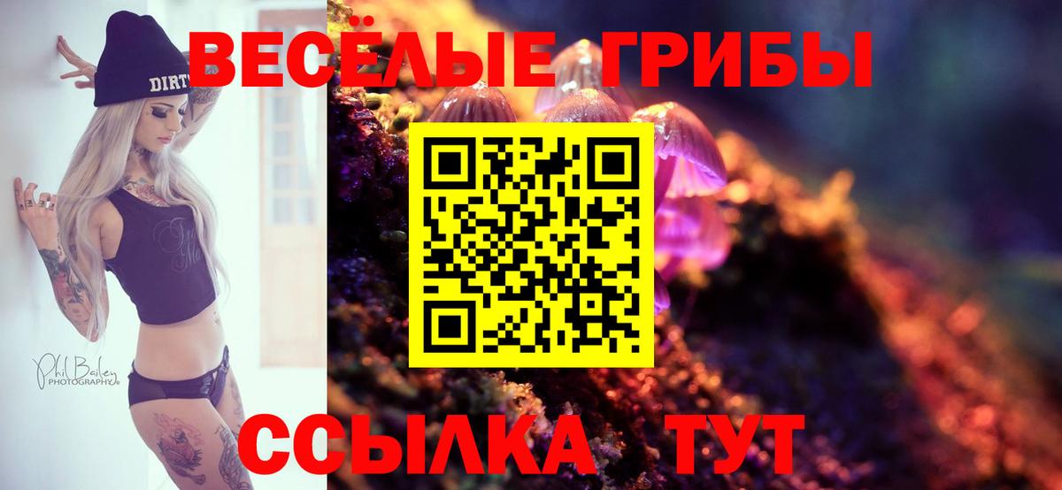 Псилоцибиновые грибы Psilocybine cubensis  закладки  Курган  Вход с VPN 