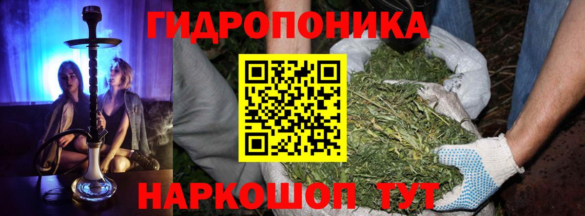 Бошки марихуана OG Kush Курган