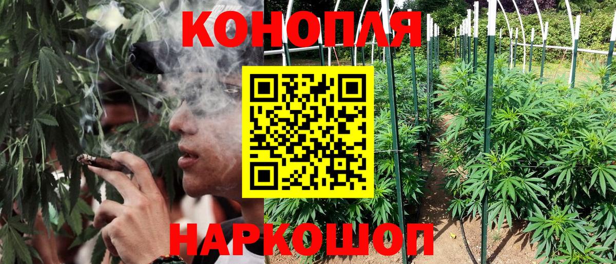 Марихуана VHQ  Курган  Бошки марихуана White Widow  Конопля VHQ 